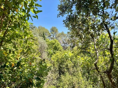 /international/fr/montpellier-languedoc-roussillon-310107013301/