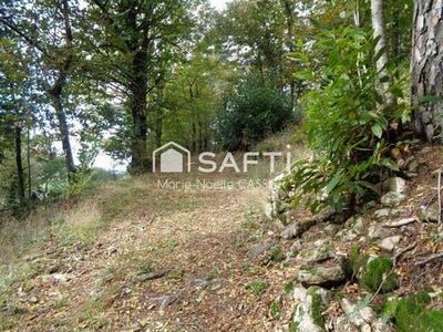 /international/fr/vernoux-en-vivarais-rhone-310108565628/