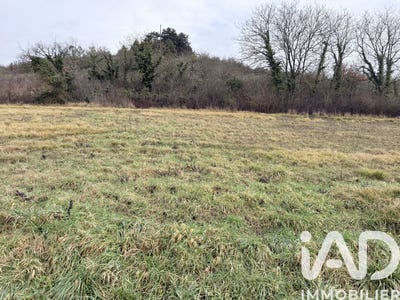 /international/fr/saint-aubin-sur-yonne-burgundy-310104931643/
