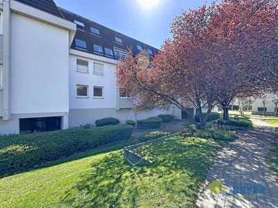 /international/fr/hoenheim-alsace-310108328682/
