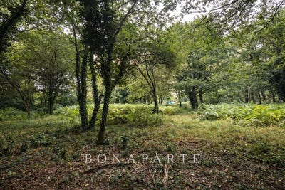 /international/fr/vannes-brittany-310107498405/
