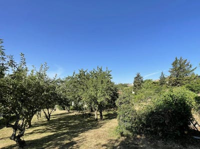 /international/fr/pouzauges-pays-de-la-loire-310100734753/