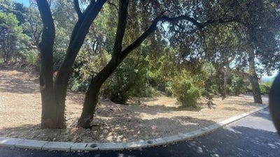 /international/fr/villeneuve-les-avignon-languedoc-roussillon-310107148087/