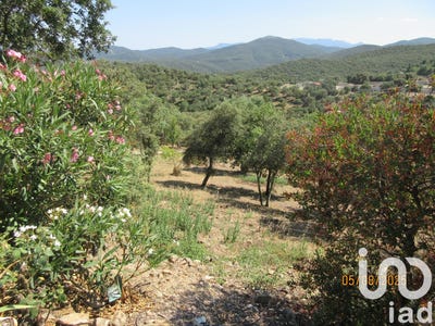 /international/fr/caixas-languedoc-roussillon-310101416535/?lang=pt