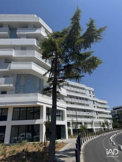 /international/fr/marseille-provence-alpes-cote-d-azur-310108759544/