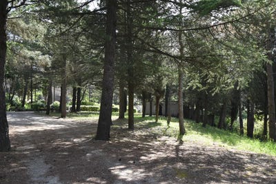 /international/fr/palaja-languedoc-roussillon-310107597446/