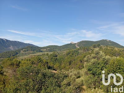 /international/fr/buis-les-baronnies-rhone-310100081574/