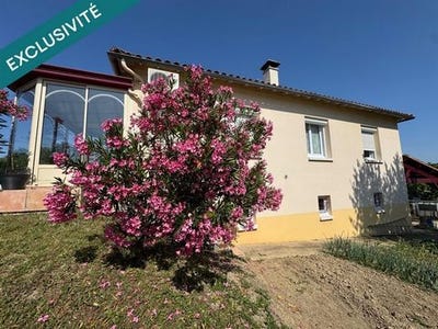 /international/fr/le-vanneau-irleau-charente-310100415152/