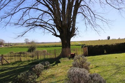 /international/fr/montendre-charente-310108329535/