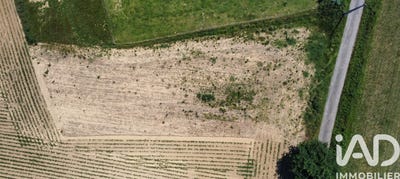 /international/fr/angos-midi-pyrenees-310108667825/