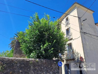 /international/fr/caux-limousin-310101334689/