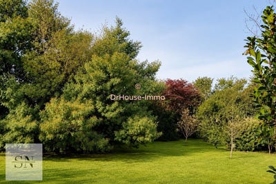 /international/fr/gujan-mestras-aquitaine-310108131538/