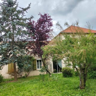 /international/fr/l-isle-en-dodon-midi-pyrenees-310109575326/