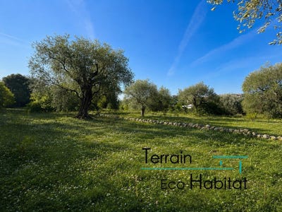 /international/fr/grasse-provence-alpes-cote-d-azur-310108056836/