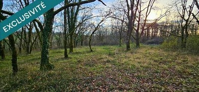 /international/fr/vegennes-limousin-310104920297/