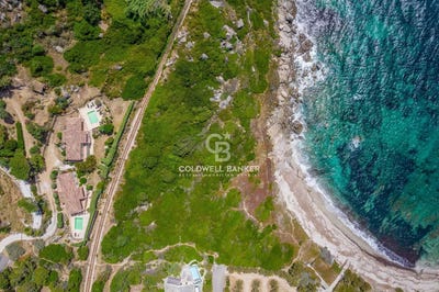 /international/fr/corbara-corsica-310108676391/