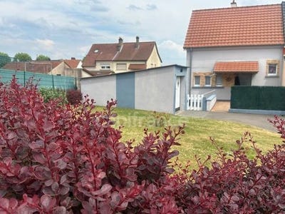 /international/fr/creutzwald-lorraine-310099784877/