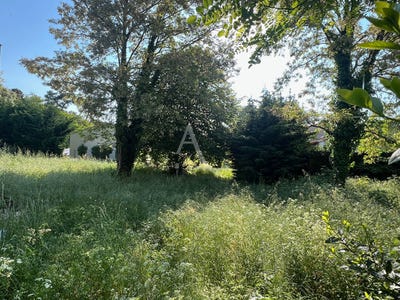 /international/fr/longeville-sur-mer-pays-de-la-loire-310104471600/