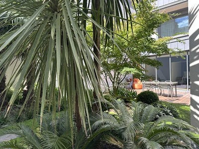 /international/fr/tours-centre-val-de-loire-310105372698/