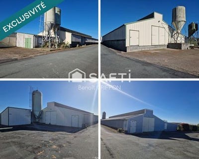 /international/fr/boussay-pays-de-la-loire-310108732122/
