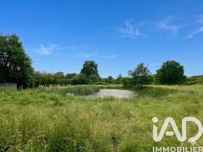 /international/fr/bree-pays-de-la-loire-310108560267/