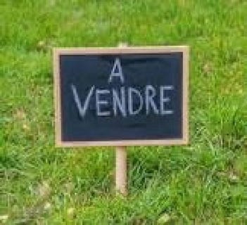/international/fr/saint-serotin-burgundy-310101380218/