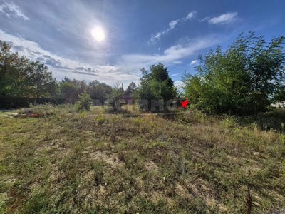 /international/fr/saint-sulpice-la-pointe-charente-310102133115/