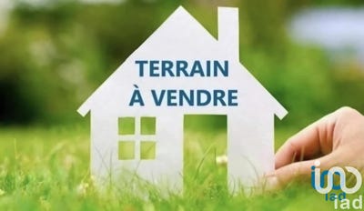 /international/fr/wandignies-hamage-calais-310101155872/