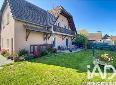 /international/fr/rhinau-alsace-310107370304/