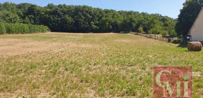 /international/fr/saint-sulpice-de-favieres-ile-de-france-310100792126/