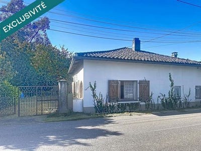 /international/fr/negrepelisse-midi-pyrenees-310109204876/