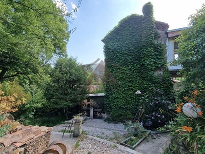 /international/fr/le-martinet-languedoc-roussillon-310104526153/