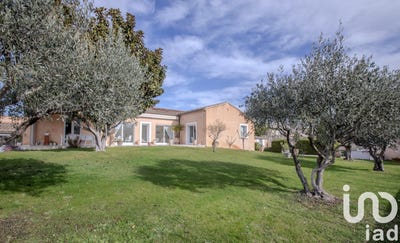 /international/fr/sainte-cecile-les-vignes-provence-alpes-cote-d-azur-310101469400/