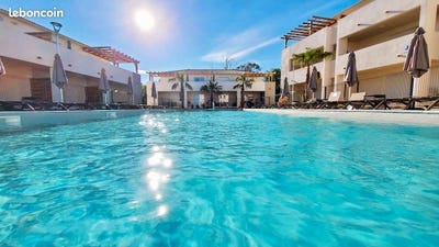 /international/fr/linguizzetta-corsica-310106360703/