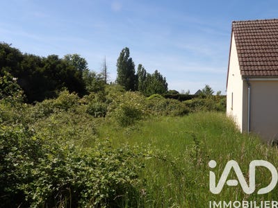 /international/fr/theuville-ile-de-france-310106426632/
