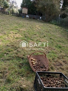 /international/fr/ingouville-upper-normandy-310106941981/