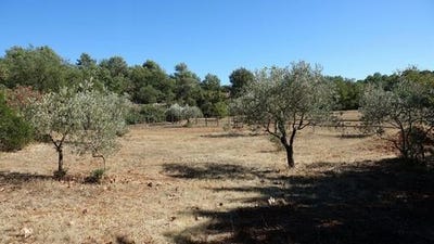 /international/fr/saint-maximin-la-sainte-baume-provence-alpes-cote-d-azur-310106020694/