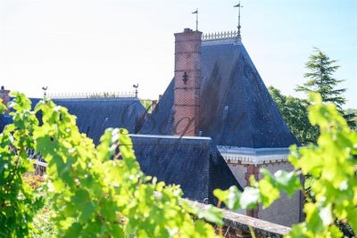 /international/fr/vernou-sur-brenne-centre-val-de-loire-310103405070/