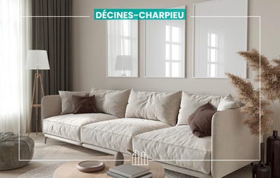/international/fr/decines-charpieu-rhone-310101467733/