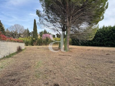 /international/fr/saint-remy-de-provence-provence-alpes-cote-d-azur-310109941032/