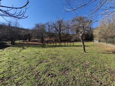 /international/fr/villefort-languedoc-roussillon-310104826947/