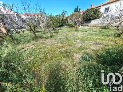 /international/fr/perpignan-languedoc-roussillon-310102724553/