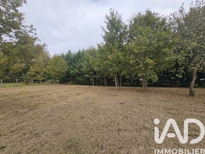 /international/fr/castelsarrasin-midi-pyrenees-310103610958/