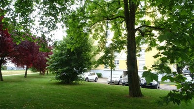 /international/fr/chevigny-saint-sauveur-burgundy-120096313369/
