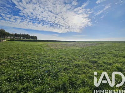 /international/fr/souain-perthes-les-hurlus-ardennes-310105374740/