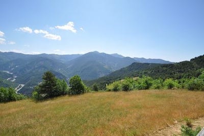 /international/fr/sauze-provence-alpes-cote-d-azur-310101390358/