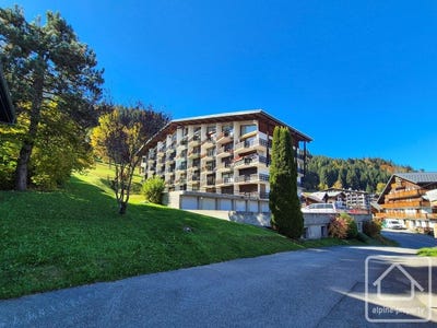 /international/fr/morzine-avoriaz-rhone-310109202302/