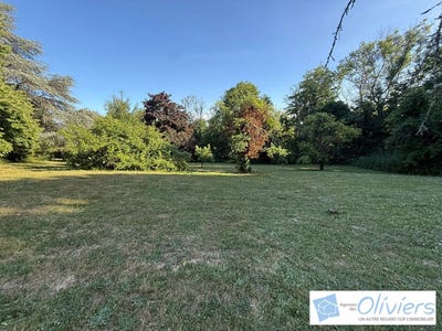 /international/fr/chevreuse-ile-de-france-310104117767/