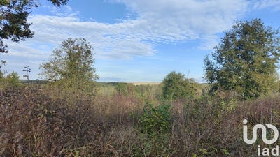 /international/fr/saint-maurice-thizouaille-burgundy-310106063297/