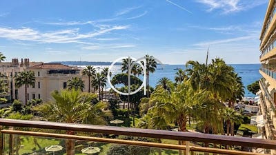 /international/fr/cannes-provence-alpes-cote-d-azur-310110423958/